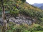 img_20201225_130630_small.jpg