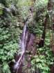 img_20201225_131958_small.jpg