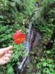 img_20201225_132022_small.jpg