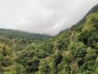 img_20201225_140811_small.jpg